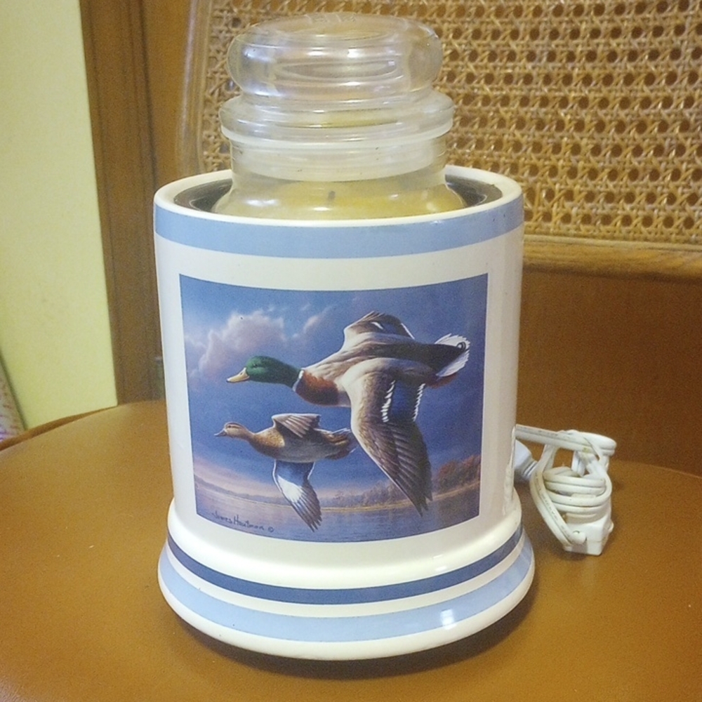 Crazy Mountain Candle Warmer, Duck Design, Blue Stripes